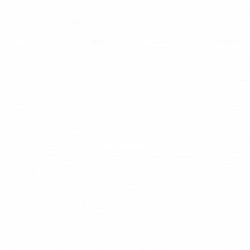 logo animdao morales