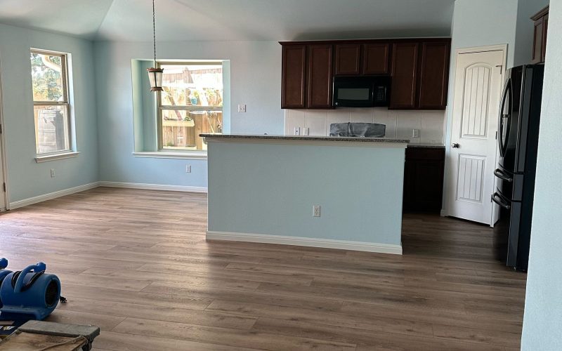 Interior painting2.jpeg